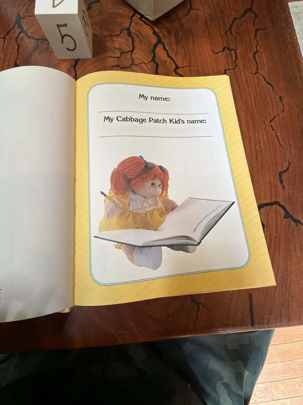 My Cabbage Patch Kid and Me Vintage Keepsake Journal (1984)